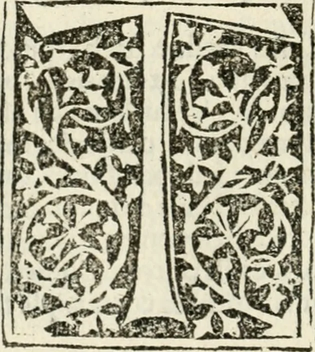 An illustration from Francisci Marii Grapaldi De partibvs aedivm libellvs cvm additamentis emendatissimvs, 1501, leaf 141