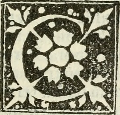 An illustration from Francisci Marii Grapaldi De partibvs aedivm libellvs cvm additamentis emendatissimvs, 1501, leaf 194