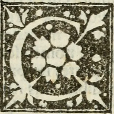 An illustration from Francisci Marii Grapaldi De partibvs aedivm libellvs cvm additamentis emendatissimvs, 1501, leaf 218