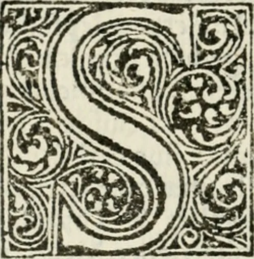 An illustration from Francisci Marii Grapaldi De partibvs aedivm libellvs cvm additamentis emendatissimvs, 1501, leaf 249