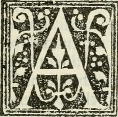 An illustration from Francisci Marii Grapaldi De partibvs aedivm libellvs cvm additamentis emendatissimvs, 1501, leaf 260