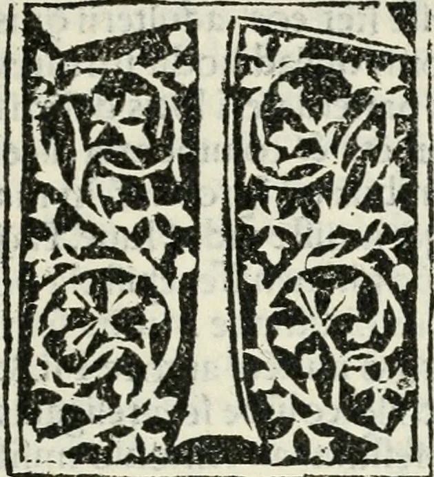 An illustration from Francisci Marii Grapaldi De partibvs aedivm libellvs cvm additamentis emendatissimvs, 1501, leaf 284
