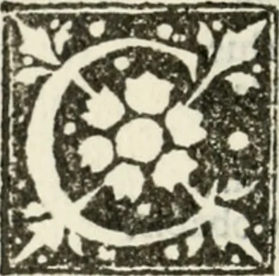 An illustration from Francisci Marii Grapaldi De partibvs aedivm libellvs cvm additamentis emendatissimvs, 1501, leaf 29