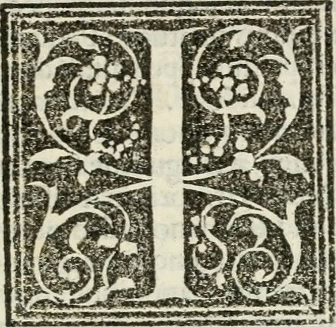 An illustration from Francisci Marii Grapaldi De partibvs aedivm libellvs cvm additamentis emendatissimvs, 1501, leaf 32