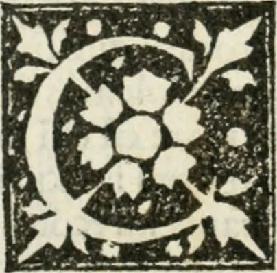 An illustration from Francisci Marii Grapaldi De partibvs aedivm libellvs cvm additamentis emendatissimvs, 1501, leaf 47