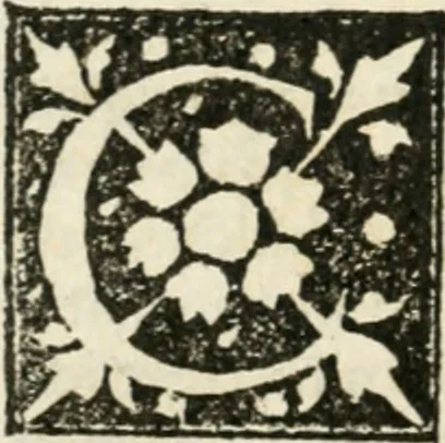 An illustration from Francisci Marii Grapaldi De partibvs aedivm libellvs cvm additamentis emendatissimvs, 1501, leaf 55