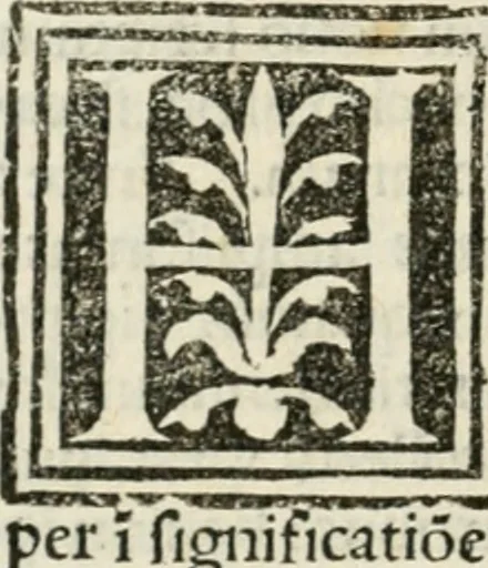 An illustration from Francisci Marii Grapaldi De partibvs aedivm libellvs cvm additamentis emendatissimvs, 1501, leaf 67