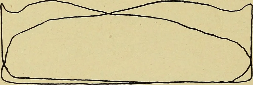 An illustration from Marine engine indicating; a complete treatise on the indicator and indicator diagrams as applied to marine engines, 1910, leaf 101