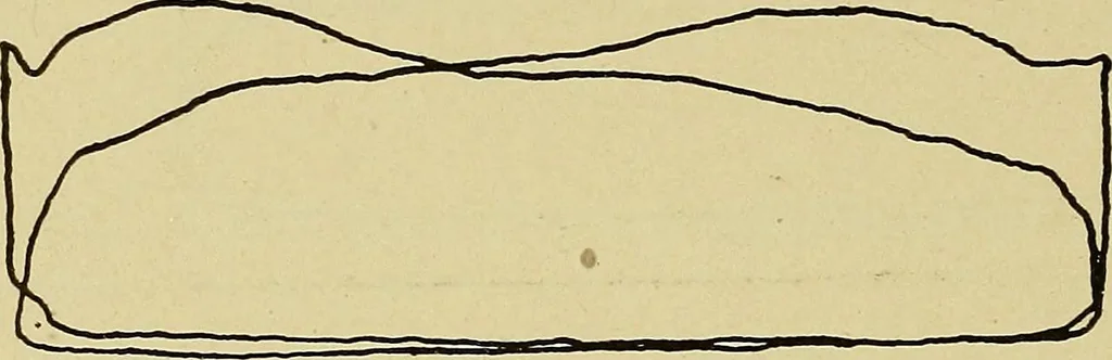 An illustration from Marine engine indicating; a complete treatise on the indicator and indicator diagrams as applied to marine engines, 1910, leaf 103