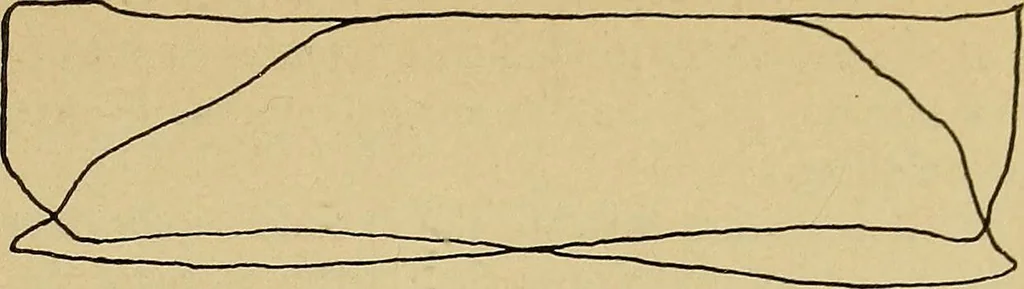 An illustration from Marine engine indicating; a complete treatise on the indicator and indicator diagrams as applied to marine engines, 1910, leaf 148