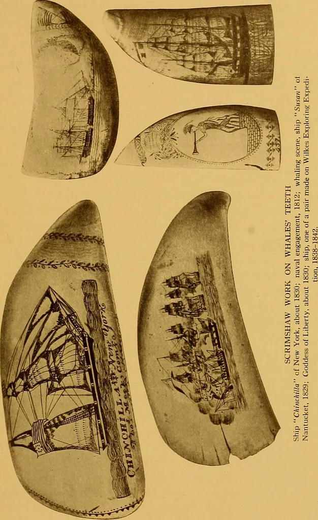 An illustration from The Marine room of the Peabody Museum of Salem, 1921, leaf 262