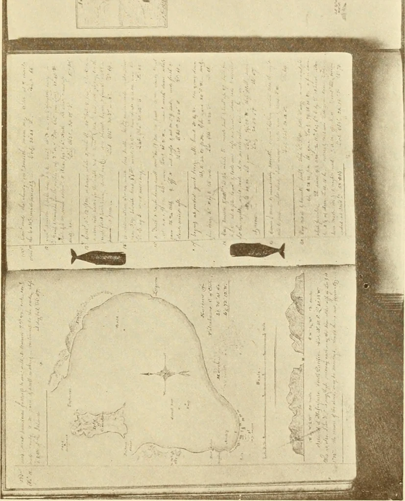 An illustration from The Marine room of the Peabody Museum of Salem, 1921, leaf 240