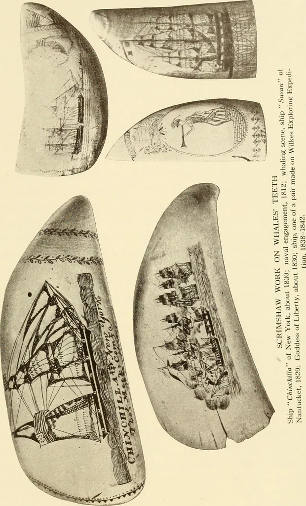 An illustration from The Marine room of the Peabody Museum of Salem, 1921, leaf 262