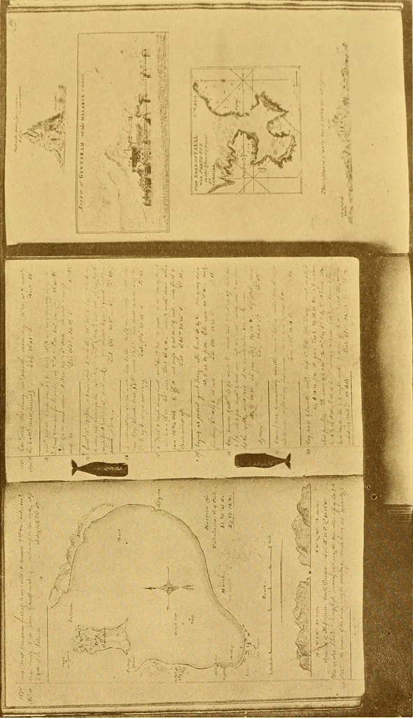 An illustration from The Marine room of the Peabody museum of Salem, 1921, leaf 240