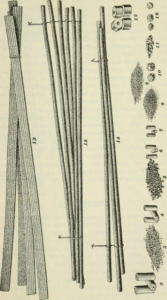 An illustration from The mariners' handbook; a convenient reference book for navigators, yachtsmen, and seamen of all classes, 1906, leaf 260