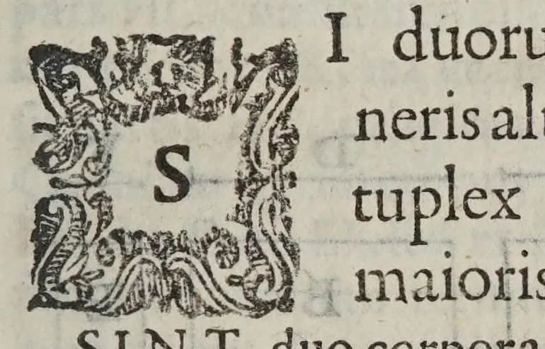 An illustration from Marini Ghetaldi ... Promotvs Archimedes, sev, De varijs corporum generibus grauitate & magnitudine comparatis, 1603, leaf 13