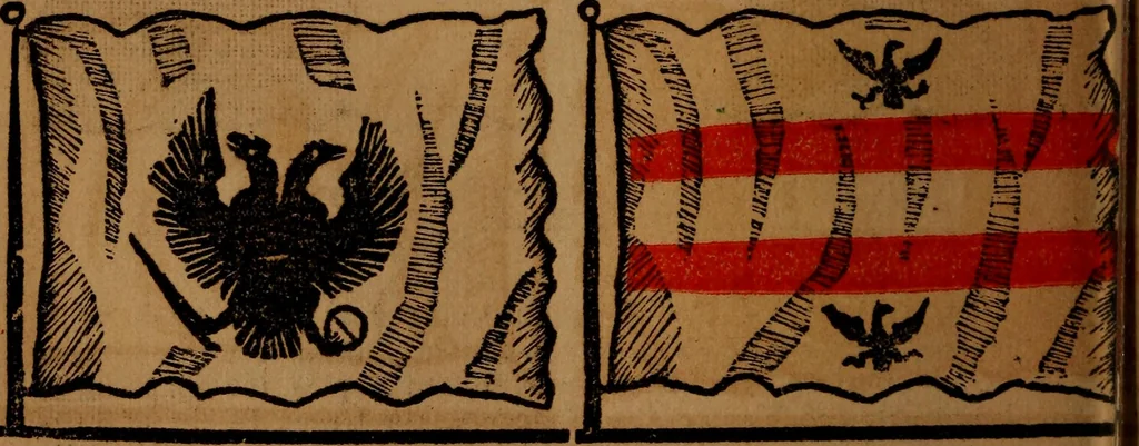 An illustration from The maritime flags and standards of all nations, together with a geographical sketch, 1856, leaf 49