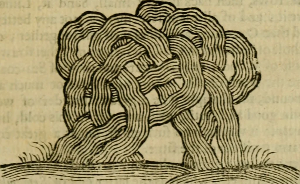 An illustration from Markham's farewel to husbandry, or, The enriching of all sorts of barren and sterile grounds in our nation ... : together with the annoyances, and preservation of all grain and seed, from one year to many years : as also a husbandly computation of men and cattels daily labours, their expences, charges, and utmost profits, 1676, leaf 32