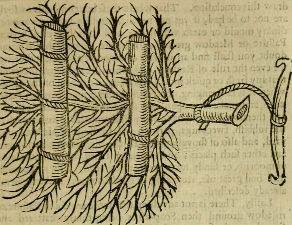 An illustration from Markham's farewel to husbandry, or, The enriching of all sorts of barren and sterile grounds in our nation ... : together with the annoyances, and preservation of all grain and seed, from one year to many years : as also a husbandly computation of men and cattels daily labours, their expences, charges, and utmost profits, 1676, leaf 72