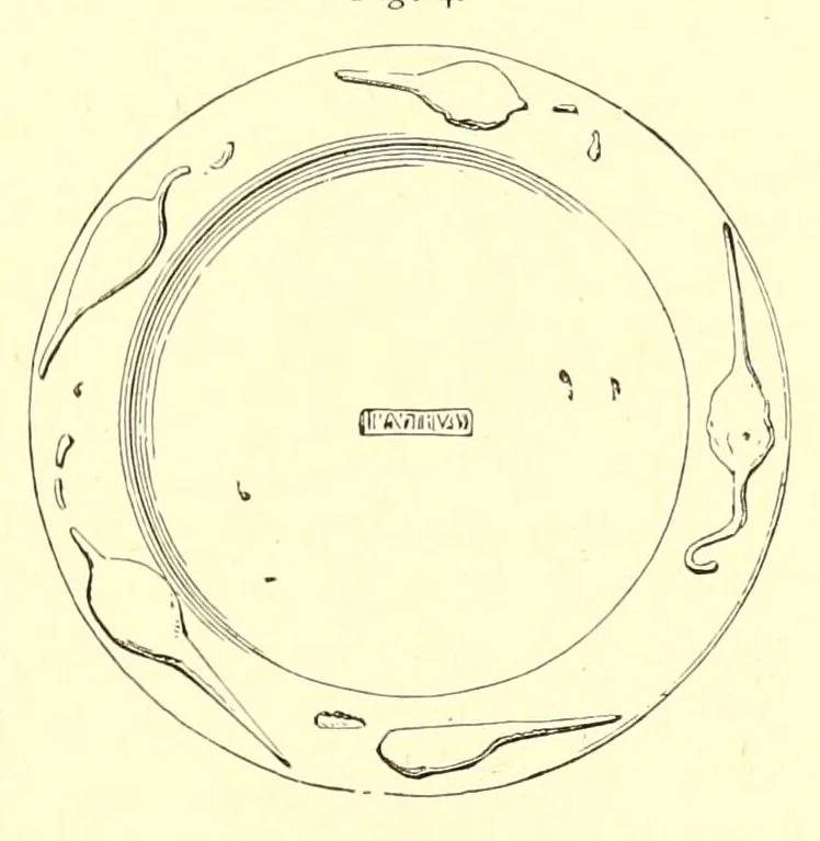 An illustration from Marks and monograms on European and oriental pottery and porcelain, with historical notices of each manufactory; over 3500 potters' marks and illustrations, 1908, leaf 47