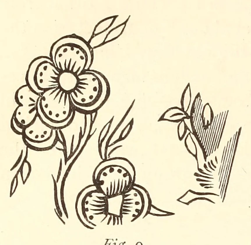 An illustration from Marks and monograms on European and Oriental pottery and porcelain : with historical notices of each manufactory, preceded by an introductory essay on the vasa fictila of the Greek, Romano-British, and mediaeval eras, 1886, leaf 874