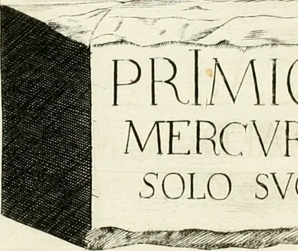 An illustration from Marmi cremonesi, ossia, Ragguaglio delle antiche inscrizioni che si conservano nella villa delle Torri de' Picenardi : opera, 1791, leaf 339