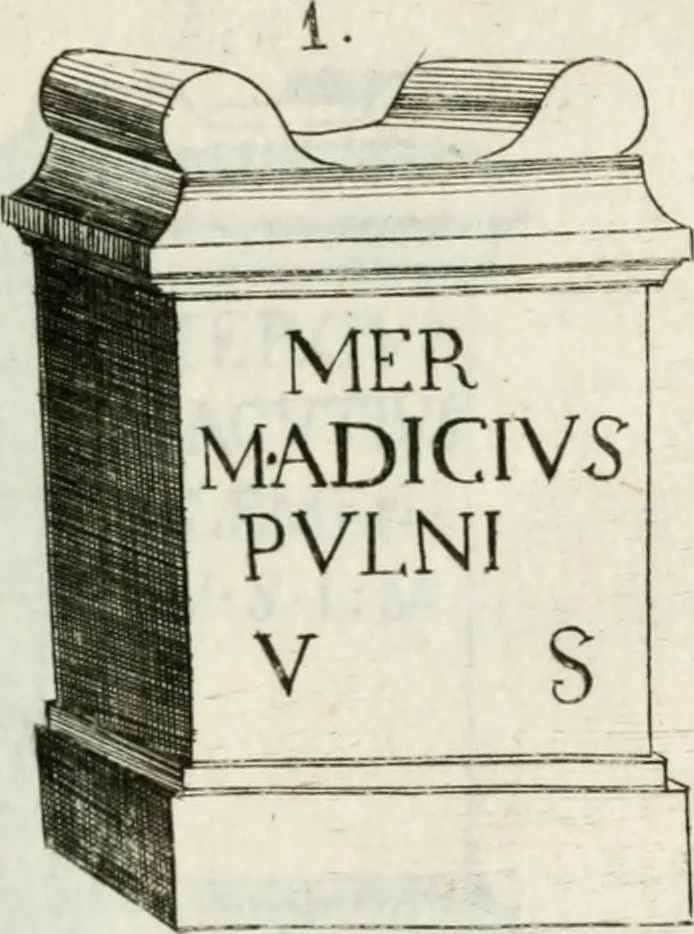 An illustration from Marmi cremonesi, ossia, Ragguaglio delle antiche inscrizioni che si conservano nella villa delle Torri de' Picenardi : opera, 1791, leaf 344
