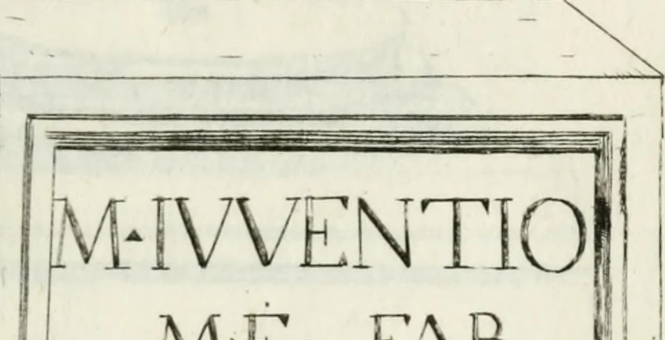 An illustration from Marmi cremonesi, ossia, Ragguaglio delle antiche inscrizioni che si conservano nella villa delle Torri de' Picenardi : opera, 1791, leaf 352