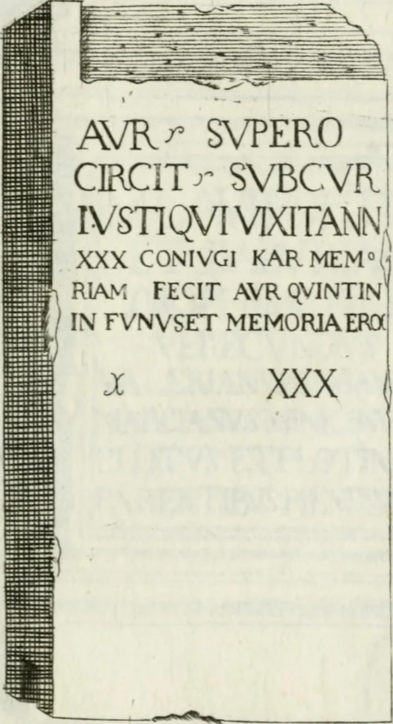 An illustration from Marmi cremonesi, ossia, Ragguaglio delle antiche inscrizioni che si conservano nella villa delle Torri de' Picenardi : opera, 1791, leaf 390