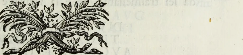 An illustration from Marmi eruditi, ovvero, Lettere sopra alcune antiche inscrizioni, 1719, leaf 236