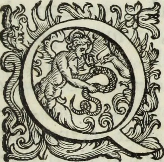 An illustration from Marmi eruditi, ovvero, Lettere sopra alcune antiche inscrizioni, 1719, leaf 288