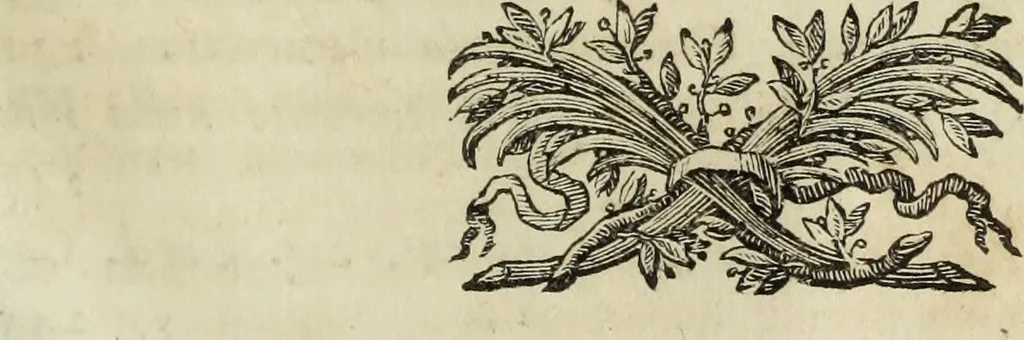 An illustration from Marmi eruditi, ovvero, Lettere sopra alcune antiche inscrizioni, 1719, leaf 404