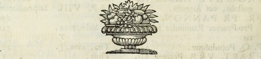 An illustration from Marmi eruditi, ovvero, Lettere sopra alcune antiche inscrizioni, 1719, leaf 413