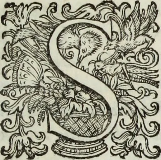 An illustration from Marmi eruditi, ovvero, Lettere sopra alcune antiche inscrizioni, 1719, leaf 54