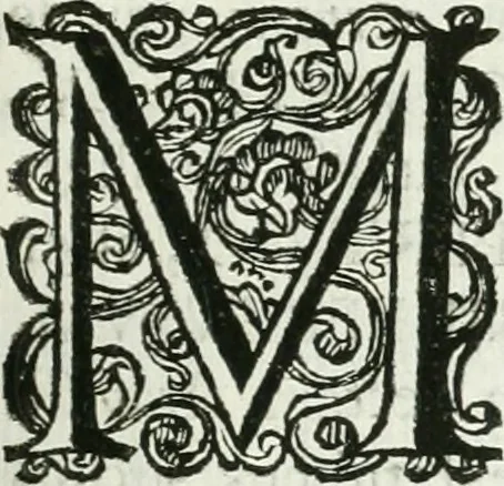 An illustration from Marmora Felsinea : innumeris non solum inscriptionibus exteris hucusque ineditis : sed etiam quamplurimis doctissimorum virorum expositionibus roborata & aucta : illustrissimo ac amplissimo Bononiae Senatui dicata, 1690, leaf 100