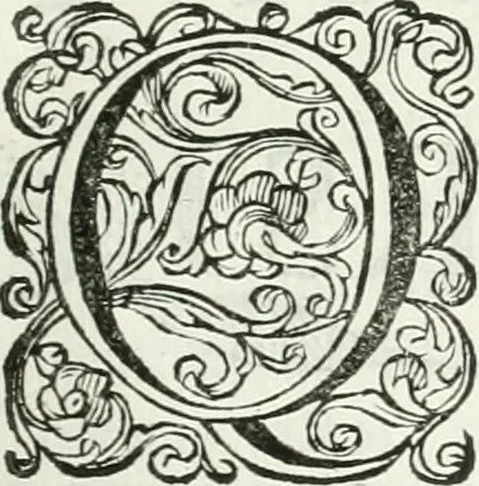 An illustration from Marmora Felsinea : innumeris non solum inscriptionibus exteris hucusque ineditis : sed etiam quamplurimis doctissimorum virorum expositionibus roborata & aucta : illustrissimo ac amplissimo Bononiae Senatui dicata, 1690, leaf 156