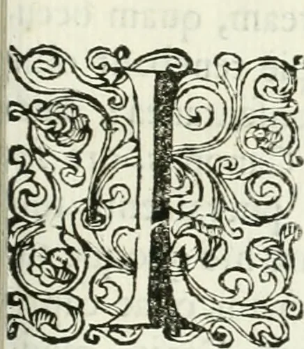 An illustration from Marmora Felsinea : innumeris non solum inscriptionibus exteris hucusque ineditis : sed etiam quamplurimis doctissimorum virorum expositionibus roborata & aucta : illustrissimo ac amplissimo Bononiae Senatui dicata, 1690, leaf 18