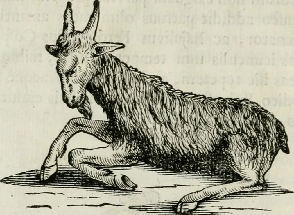 An illustration from Marmora Felsinea : innumeris non solum inscriptionibus exteris hucusque ineditis : sed etiam quamplurimis doctissimorum virorum expositionibus roborata & aucta : illustrissimo ac amplissimo Bononiae Senatui dicata, 1690, leaf 21