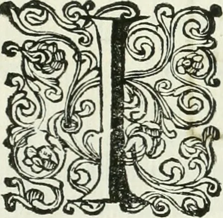 An illustration from Marmora Felsinea : innumeris non solum inscriptionibus exteris hucusque ineditis : sed etiam quamplurimis doctissimorum virorum expositionibus roborata & aucta : illustrissimo ac amplissimo Bononiae Senatui dicata, 1690, leaf 400