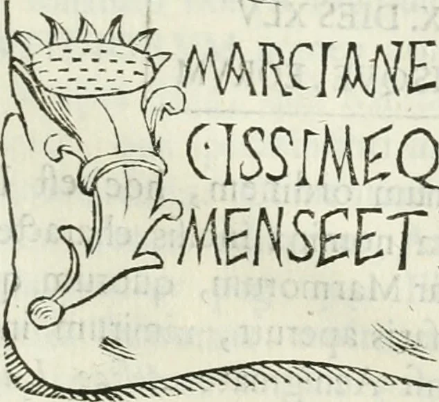 An illustration from Marmora Felsinea : innumeris non solum inscriptionibus exteris hucusque ineditis : sed etiam quamplurimis doctissimorum virorum expositionibus roborata & aucta : illustrissimo ac amplissimo Bononiae Senatui dicata, 1690, leaf 458