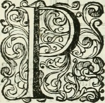 An illustration from Marmora Felsinea : innumeris non solum inscriptionibus exteris hucusque ineditis : sed etiam quamplurimis doctissimorum virorum expositionibus roborata & aucta : illustrissimo ac amplissimo Bononiae Senatui dicata, 1690, leaf 470