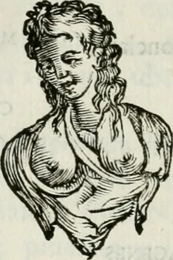 An illustration from Marmora Felsinea : innumeris non solum inscriptionibus exteris hucusque ineditis : sed etiam quamplurimis doctissimorum virorum expositionibus roborata & aucta : illustrissimo ac amplissimo Bononiae Senatui dicata, 1690, leaf 481