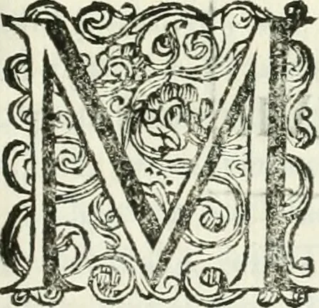 An illustration from Marmora Felsinea : innumeris non solum inscriptionibus exteris hucusque ineditis : sed etiam quamplurimis doctissimorum virorum expositionibus roborata & aucta : illustrissimo ac amplissimo Bononiae Senatui dicata, 1690, leaf 548