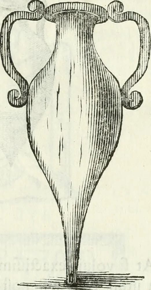 An illustration from Marmora Felsinea : innumeris non solum inscriptionibus exteris hucusque ineditis : sed etiam quamplurimis doctissimorum virorum expositionibus roborata & aucta : illustrissimo ac amplissimo Bononiae Senatui dicata, 1690, leaf 568