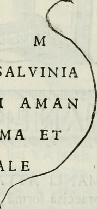 An illustration from Marmora Felsinea : innumeris non solum inscriptionibus exteris hucusque ineditis : sed etiam quamplurimis doctissimorum virorum expositionibus roborata & aucta : illustrissimo ac amplissimo Bononiae Senatui dicata, 1690, leaf 571