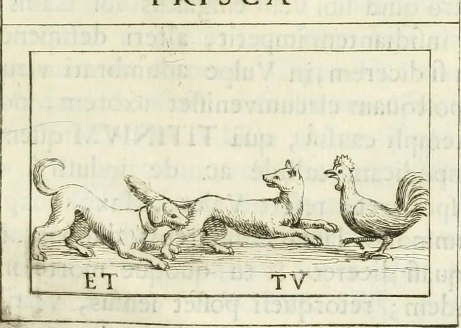 An illustration from Marmora Felsinea : innumeris non solum inscriptionibus exteris hucusque ineditis : sed etiam quamplurimis doctissimorum virorum expositionibus roborata & aucta : illustrissimo ac amplissimo Bononiae Senatui dicata, 1690, leaf 618