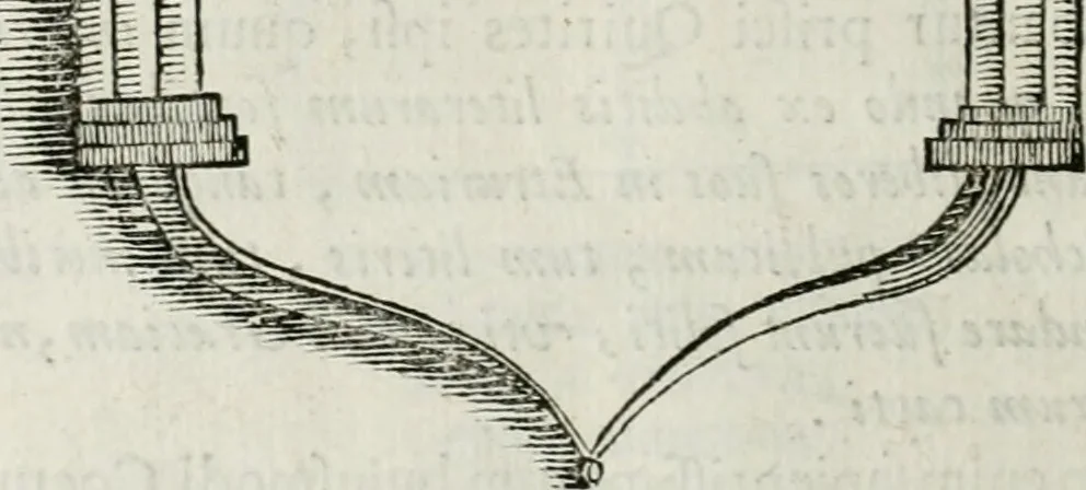 An illustration from Marmora Felsinea : innumeris non solum inscriptionibus exteris hucusque ineditis : sed etiam quamplurimis doctissimorum virorum expositionibus roborata & aucta : illustrissimo ac amplissimo Bononiae Senatui dicata, 1690, leaf 73