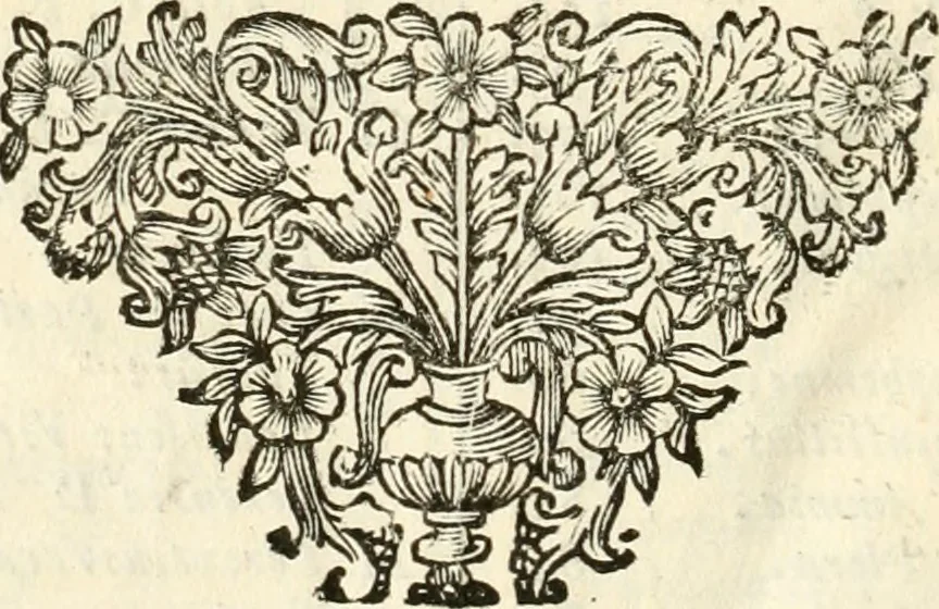 An illustration from Marmora Pisaurensia notis illustrata, 1737, leaf 309