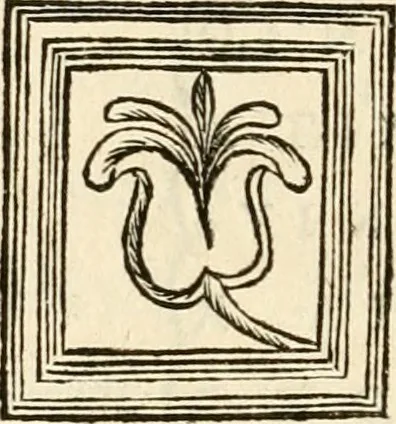 An illustration from Marmora Pisaurensia notis illustrata, 1737, leaf 67