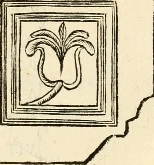 An illustration from Marmora Pisaurensia notis illustrata, 1737, leaf 67